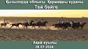 🐎 Тай бейге Кызылординская обл. Кармакчинский район. 🥉 3 место - Мойнақ торы   Кэтмэн - Глэдис