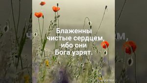 "БОЛЬШЕ ВСЕГО ХРАНИМОГО ХРАНИ СЕРДЦЕ ТВОЕ" (БИБЛИЯ)