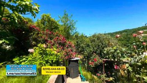 Недорогая ДАЧА в Сочи на море. Земли 5 соток. Дом 70 м2. Купить дом в Сочи