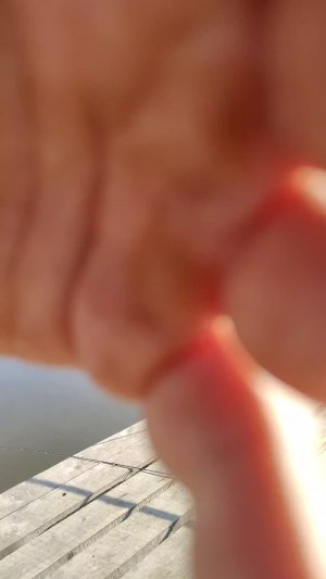 Осенняя 🍂 рыбалка 🎣🎣🎣