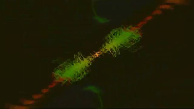 Y DIME. NELSON VLASQUEZ Y EMERSON PLATA. смотреть онлайн