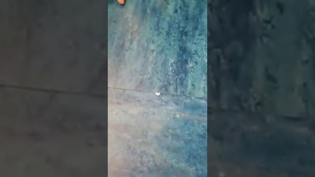 Укладка мармелиум 2 .ч.