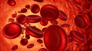 Скорая помощь Кроветворная система.