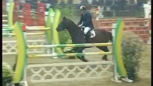 Michael Braun (Stakkato x Caletto I) смотреть онлайн