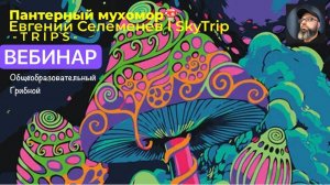 ВЕБИНАР ГРИБНОЙ I Евгений Селеменев SkyTrip