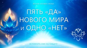 Пять ДА и одно нет в Новом Мире