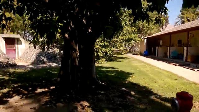 Кибуц Ен Гев. Всоточный берег Киннерета. смотреть онлайн