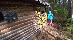 Ушли с СЕМЬЁЙ в Таёжную Избу (летний сюжет)