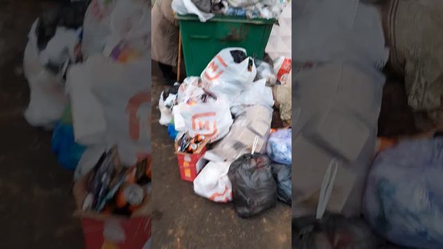 21 декабря 2023 г. смотреть онлайн