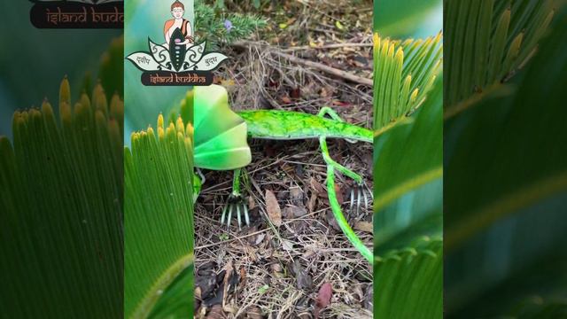 Frilled Neck Lizard Metal Art смотреть онлайн