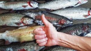 Ловля форели на спиннинг зимой. Платник в Селятино - Пионерский пруд.