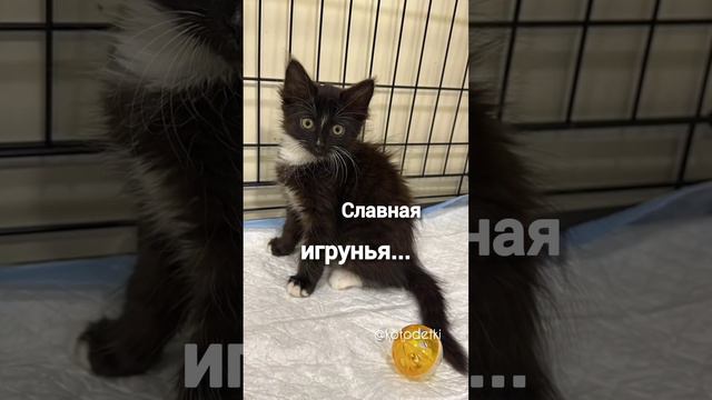 #спасибовсем_ядома 
Читай описание к ролику