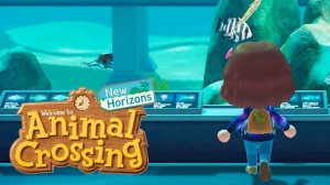 Animal Crossing | День музя | Прохождение №22