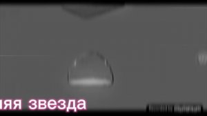 коты воители звездоцап и синяя звезда