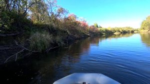 ✅🟥Щука из под коряги. Проверка перемёта на щуку.