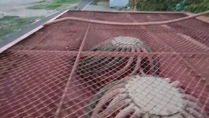 Сеялка Быстрица С-6ПМ2 экспресс-обзор от Константина Сорокина