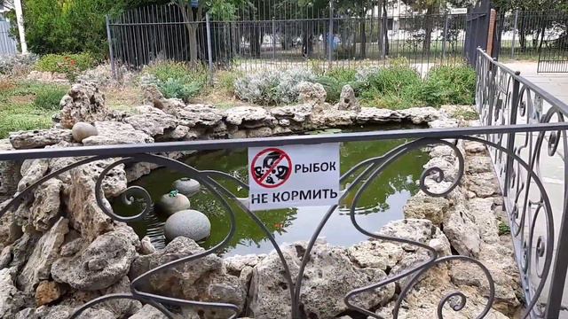 Саки крым. Парк и центр города смотреть онлайн