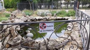 Саки крым. Парк и центр города