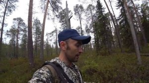 ГЛУХАРЬ вычислил меня. Охота на боровую ДИЧЬ(домой с добычей)