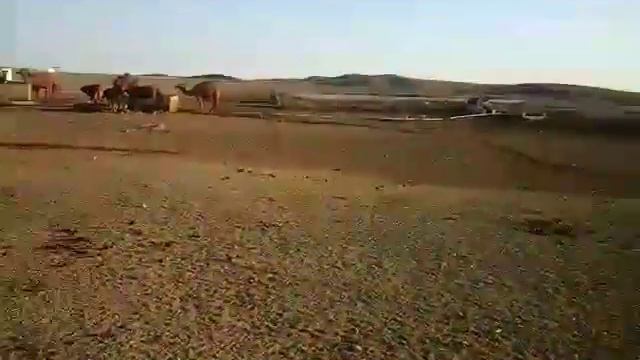 Тамдының Қыңыры смотреть онлайн