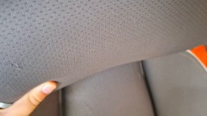 как мы проводим выходной с барси,чили,снежой