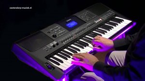 Yamaha PSR E453 ｜ Sound & Performance Demo | Oostendorp