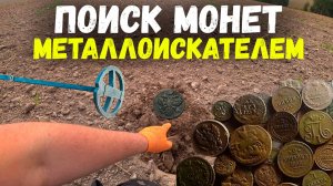 Вечером вышли поискать старинные монеты с металлоискателями