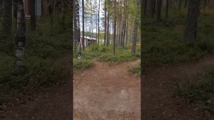 Красивый обзор острова на Сегозере с домиком и баней