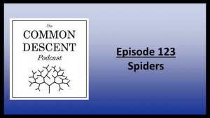 Episode 123 - Spiders