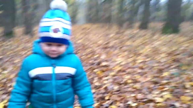 La o plimbare toamna prin padure смотреть онлайн