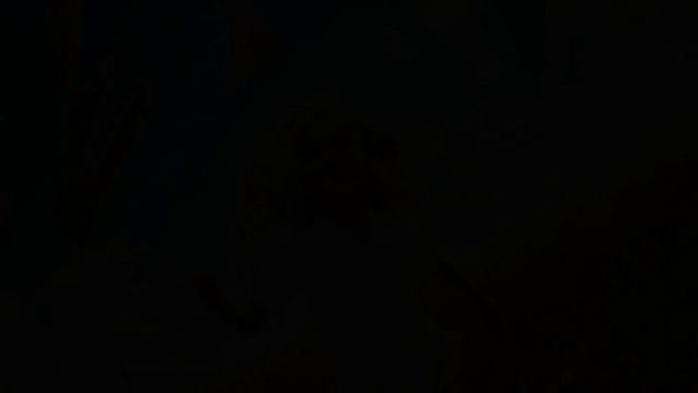 1000023013.MP4