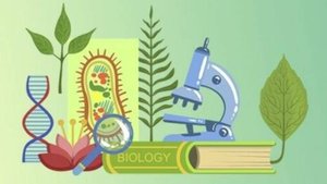 Биология 6 класс. Обмен веществ и энергии.--