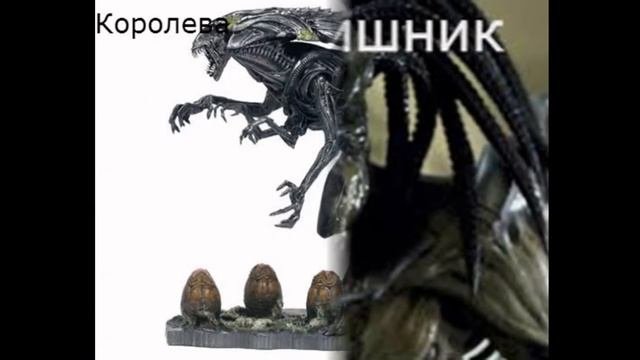 Виды чужих