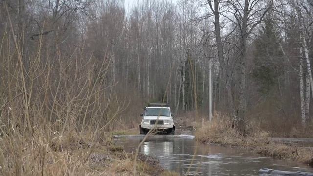 Сосновец