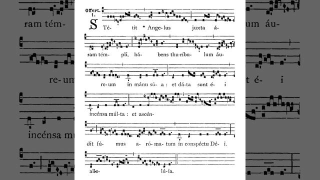 Choir of St Peter’s Eastern Hill: Stetit angelus
