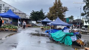 Абхазия. Рынок в Старой Гагре. Октябрь 2024