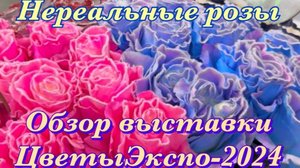 Розы - срезка на выставке ЦветыЭкспо-2024. Личные впечатления.