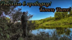 РЫБАЛКА У ДОМА  В КРАСИВОМ МЕСТЕ НА ПОПЛАВОК ПО БОЛЬШОЙ ВОДЕ ПОСЛЕ ДОЖДЕЙ!