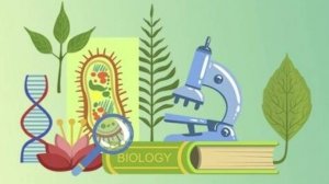 Биология 6 класс. Рост и развитие животных.--