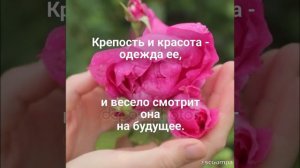 БИБЛИЯ О ЖЕНЕ (КНИГА ПРИТЧЕЙ СОЛОМОНОВЫХ)