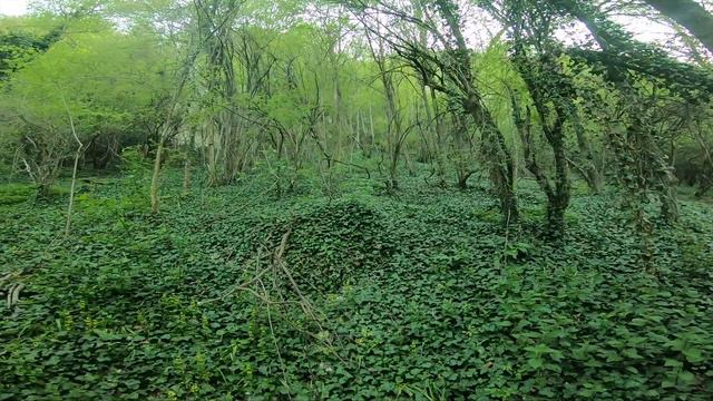 Демир Баба теке смотреть онлайн