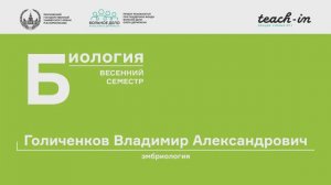 1. Введение. Эмбриология - Голиченков В. А. Teach-in.