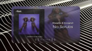 Diseptix & Incognet - No Scrubs (Musical Visual)