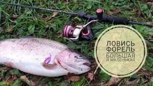 Ловись форель, большая и маленькая! Рыбалка на платном пруду.