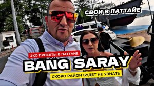 Улучшаем Паттайю. Социальные активности в районе Bang Saray. Наши белки дали потомство. Copacabana