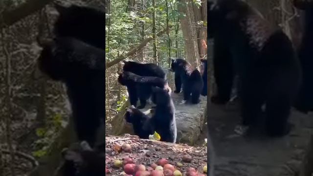 С добрым утром!😄