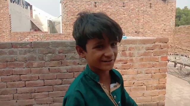 hm new rabbits 🐰 leny lgy hien | Multan vlog baap beta | today vlog