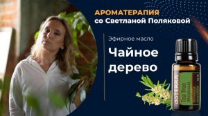 Чайное дерево - всемирно известное эфирное масло для крепкого здоровья