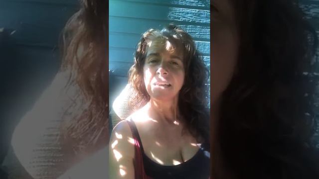 How Is Your Life Like the Visitation смотреть онлайн