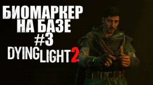 ЗАБРАЛСЯ В ОПАСНУЮ ЗОНУ ВГМ Dying Light 2 Stay Human #3 (16+)